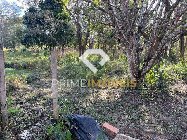 Chácara para Venda em Itatiaiuçu - 5