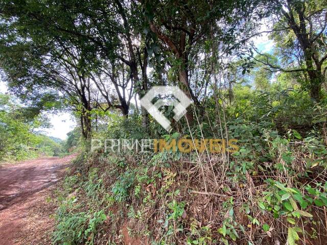 #22 - Chácara para Venda em Itatiaiuçu - MG - 3