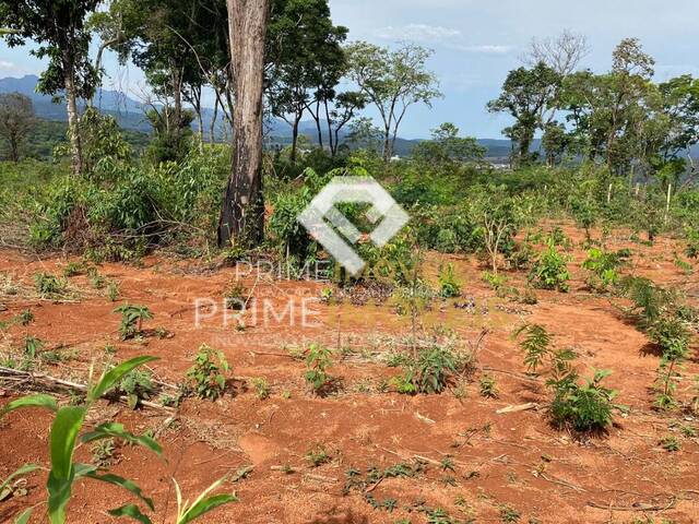 #23 - Chácara para Venda em Itatiaiuçu - MG