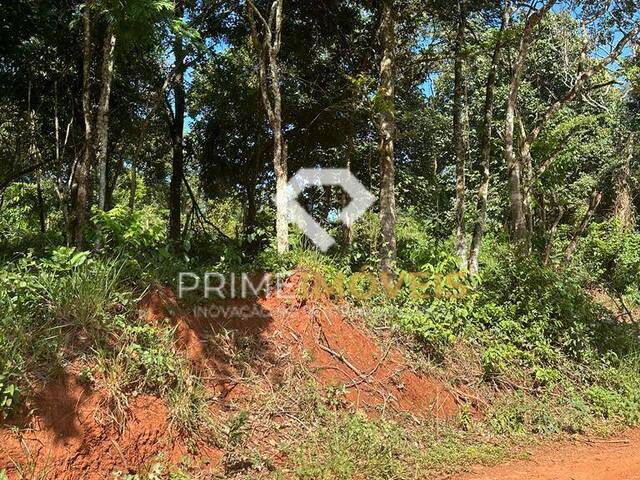 #39 - Chácara para Venda em Itatiaiuçu - MG - 2