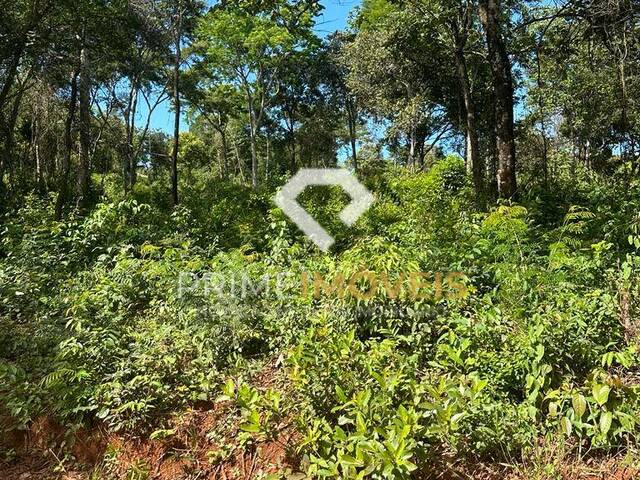 Chácara para Venda em Itatiaiuçu - 5