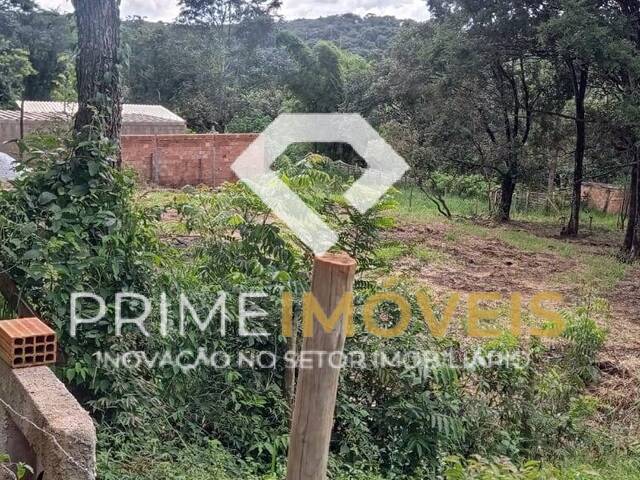 #49 - Chácara para Venda em Itatiaiuçu - MG - 3