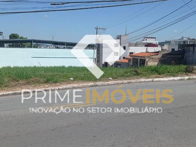 #55 - Área para Venda em Itatiaiuçu - MG - 2