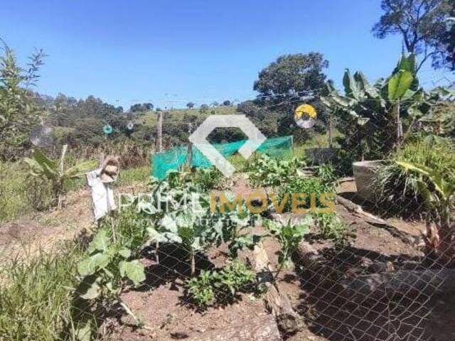 Chácara para Venda em Itatiaiuçu - 4