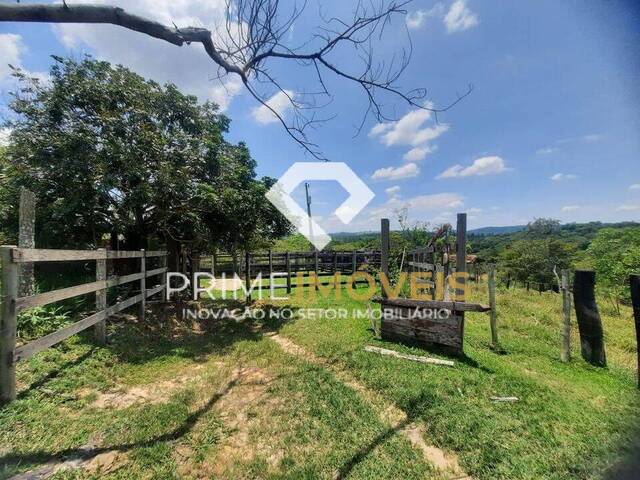 #84 - Fazenda para Venda em Itatiaiuçu - MG - 2