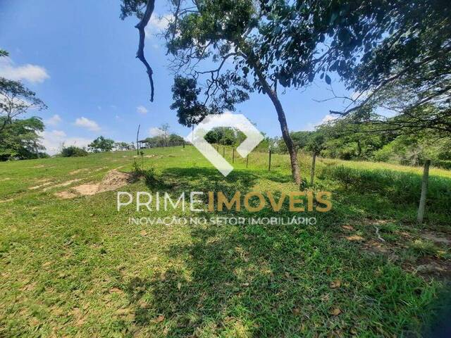 #84 - Fazenda para Venda em Itatiaiuçu - MG - 3