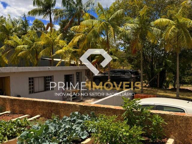 #137 - Chácara para Venda em Itatiaiuçu - MG - 3